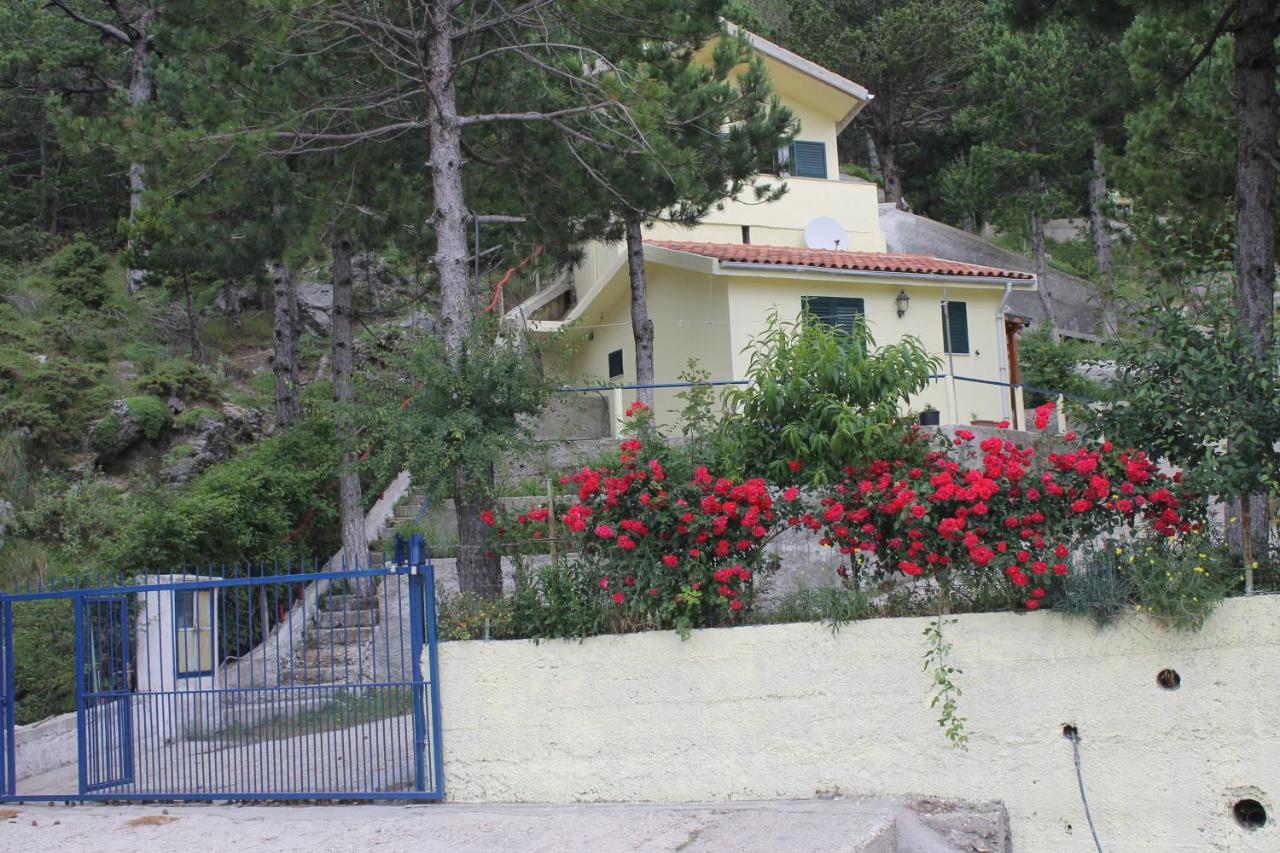 Eagle'S Nest Apartment Palase Exterior photo